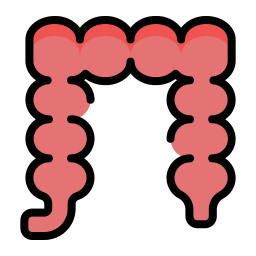 intestino crasso icona