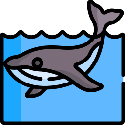 Whale icon