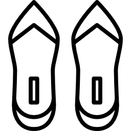 Feminine shoes pair icon
