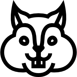Squirrel face frontal outline icon