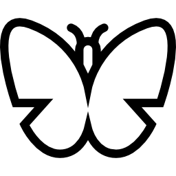 Butterfly outline top view icon