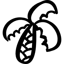 Tropical palm tree outline icon