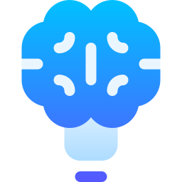 Knowledge icon