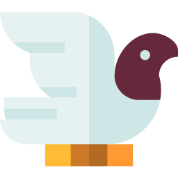 Pigeon icon