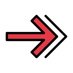 Double arrow icon