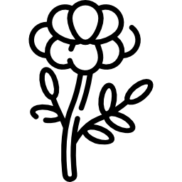 cinderpaschchilla icon