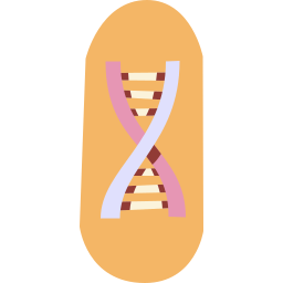 adn Icône