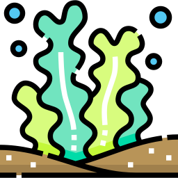 Algae icon