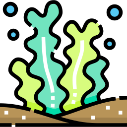 alghe icona