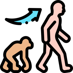 ewolucja ikona