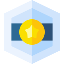 Shield icon