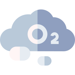 O2 icon