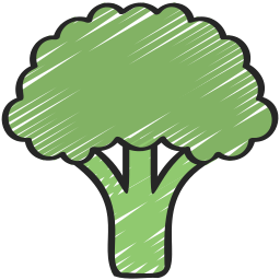 Broccoli icon