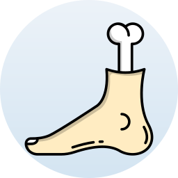 Foot icon