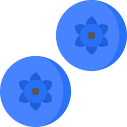 blaubeeren icon