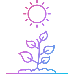fotosíntesis icono