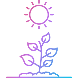 Photosynthesis icon