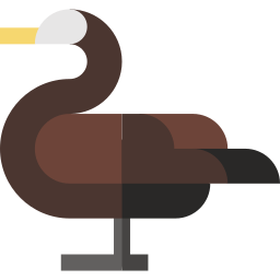grande cormorano icona