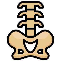 columna vertebral icono