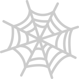 Spider web icon