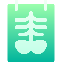 X ray icon