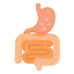 Digestive system icon