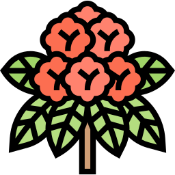 rododendro icona