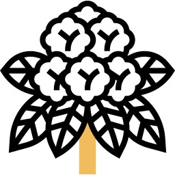 Рододендрон иконка