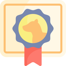 Certificate icon