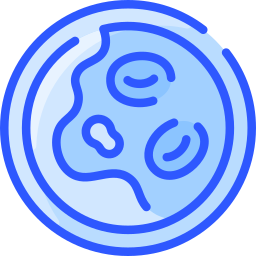 Cholesterol icon