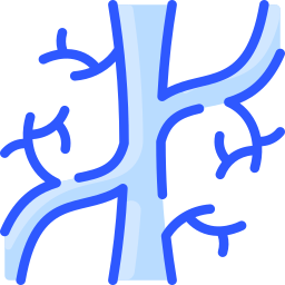 Vascular icon