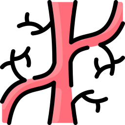 vascular icono