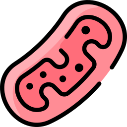 mitochondriën icoon