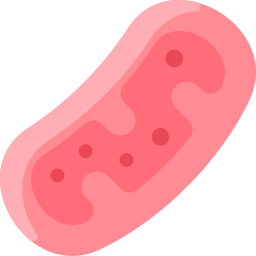 mitochondria ikona