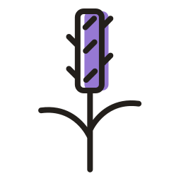 lavendel icon