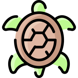 Turtle icon