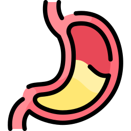 Stomach icon