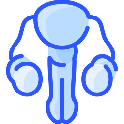 생식 기관 icon