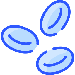 Red blood cells icon