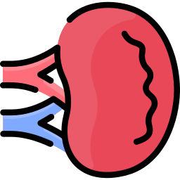 Spleen icon