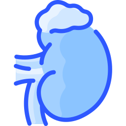 glândula adrenal Ícone