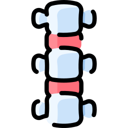 Spine icon