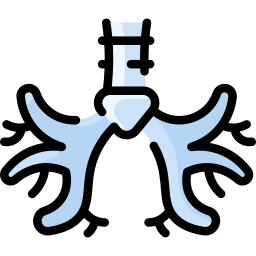 bronquio icono