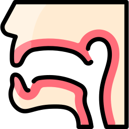 pharynx Icône