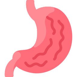 Stomach icon