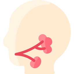 Salivary glands icon