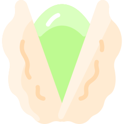 Pistachio icon