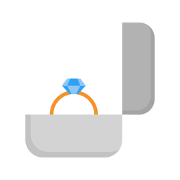 caja del anillo icono