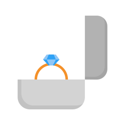 Ring box icon