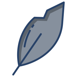 Feather icon